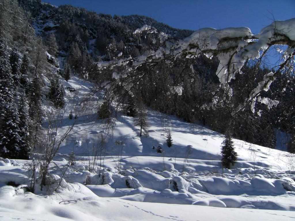 Albergo Thurwieser Santa Caterina Valfurva Esterno foto