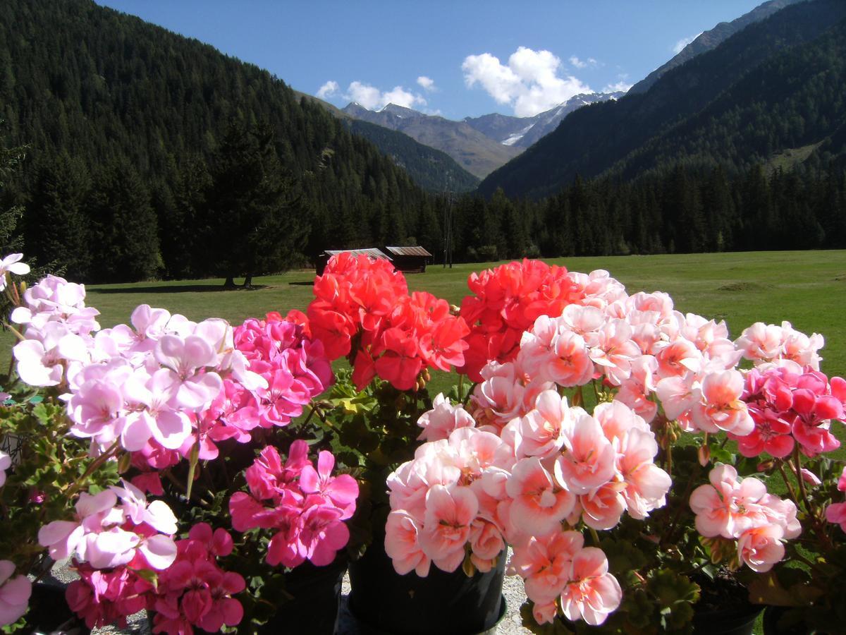 Albergo Thurwieser Santa Caterina Valfurva Esterno foto
